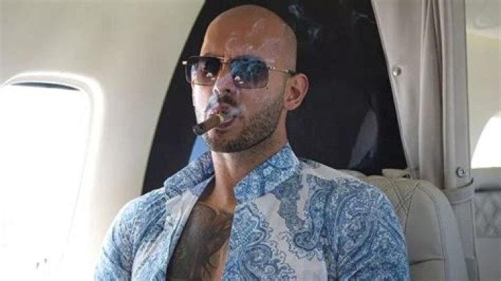 All About Aylin Teit: A Deep Dive into Her Life and Career