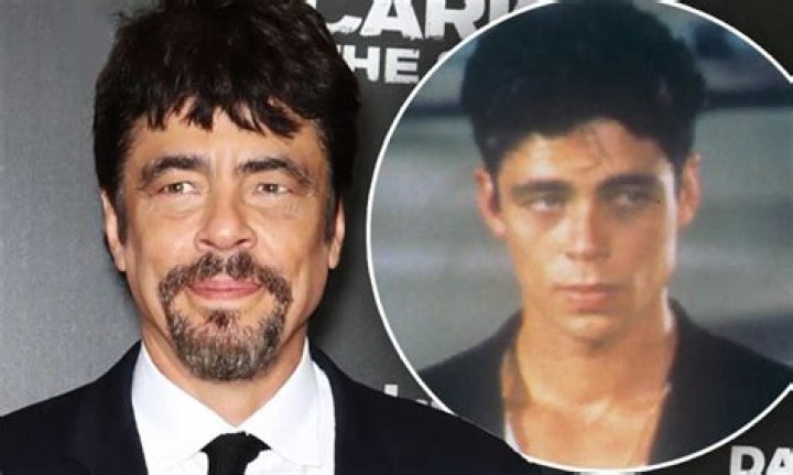 Benicio Del Toro's Wife in 2024: A Closer Look at Their Relationship