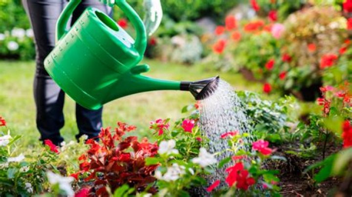 Black pastor, who was arrested for watering neighbor's flowers, files lawsuit agai ·