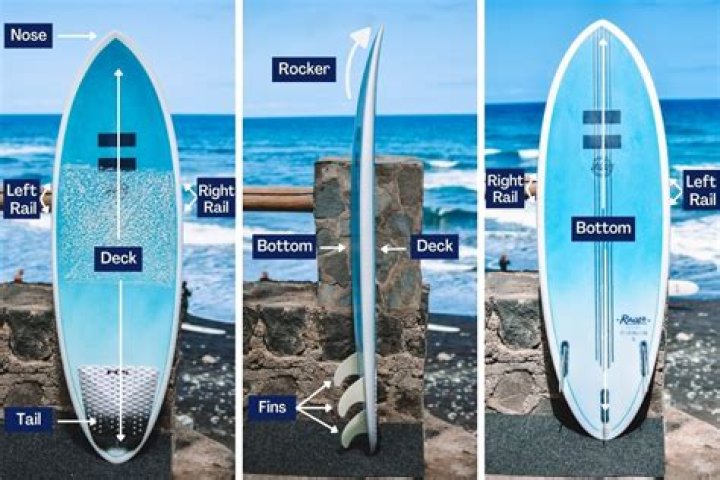 Discovering the Surfboar: A Deep Dive into the World of Surfboards