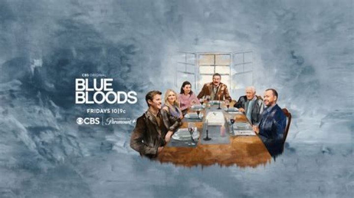 Everything You Need To Know About Vanessa Ray From Blue Bloods