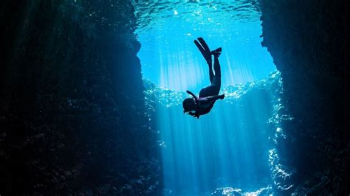 Ewan McGregor East of Harlem: A Deep Dive into the Star's Journey and Achievements