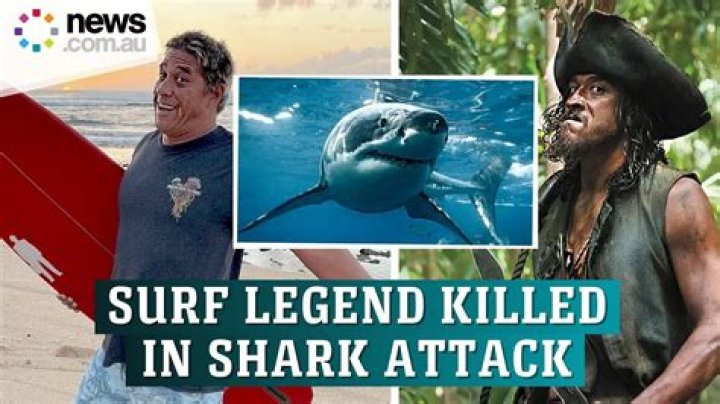 Exploring the Controversy: Shark.bae Nude Leaks and Its Impact