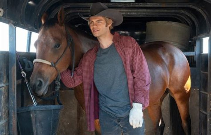 Exploring the Impact of "My Life with the Walter Boys": In-Depth Reviews and Insights