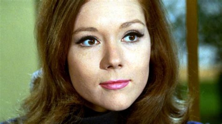 Exploring the Life and Career of Vanessa Rhd: A Comprehensive Biography