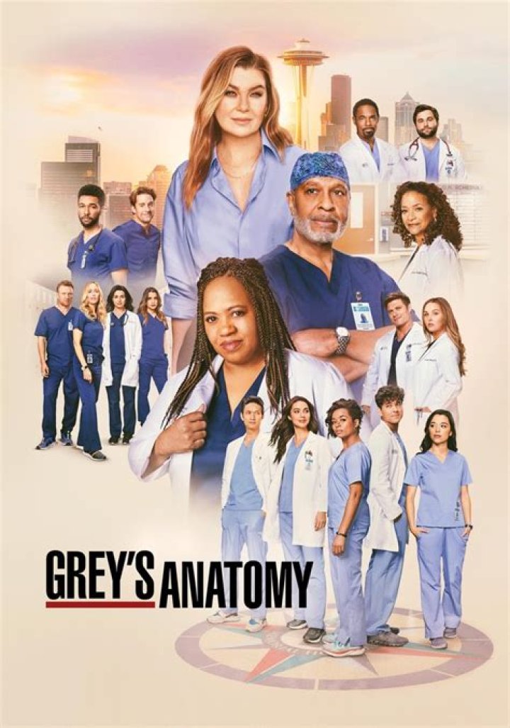 Exploring the Seasons of Grey's Anatomy: A Comprehensive Guide