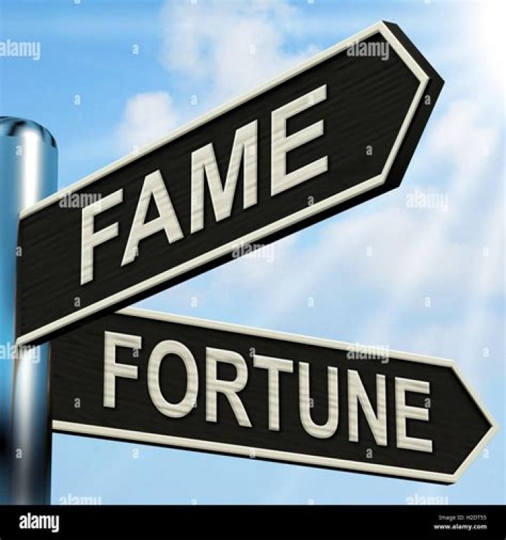 Fortune, Fame, And Fight Earnings Revealed
