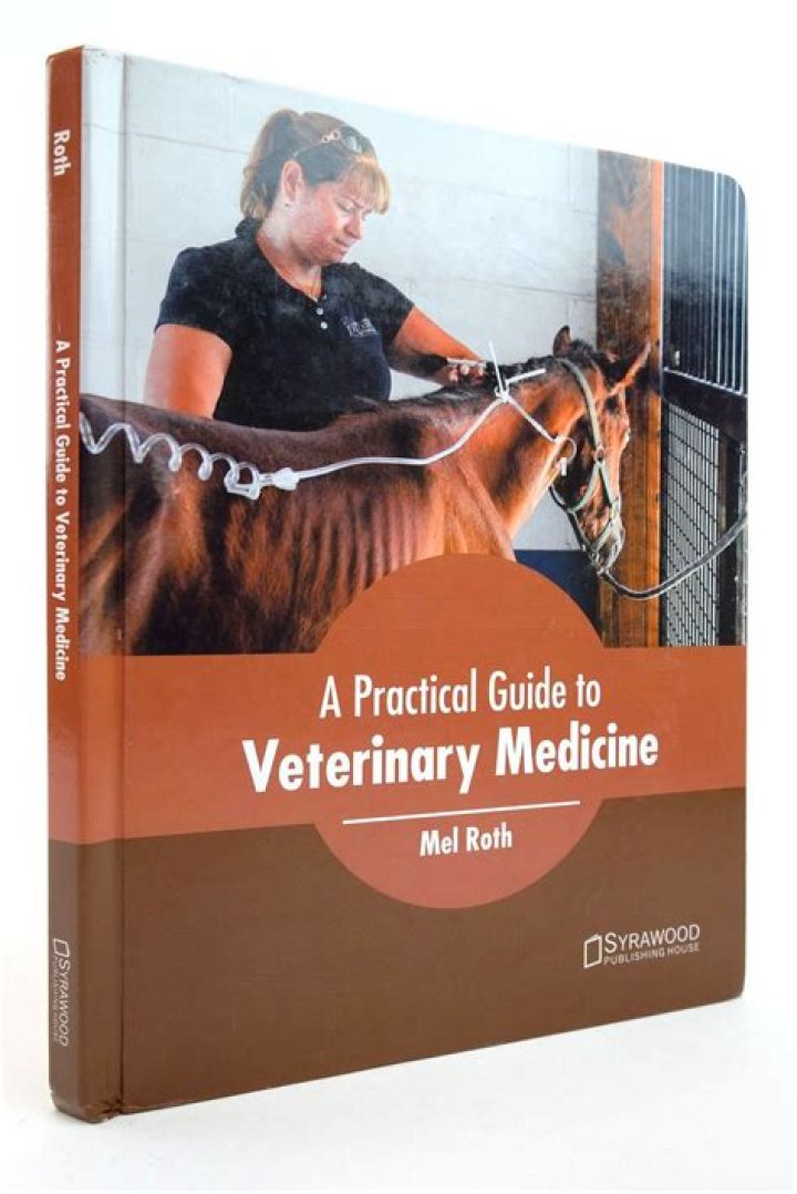 From Hollywood To Veterinary Medicine