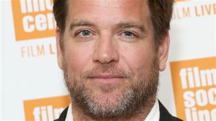 How Much Is NCIS Star Michael Weatherly Really Worth? |