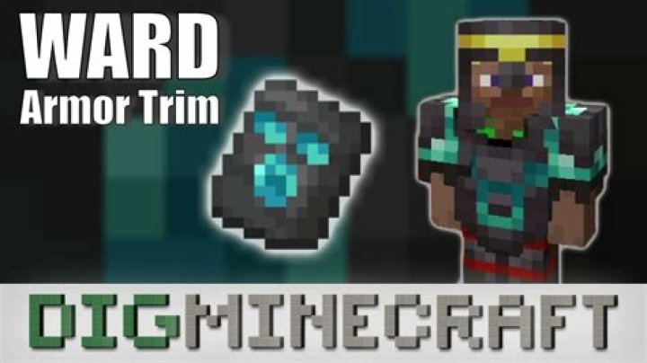 How rare is the ward armor trim?