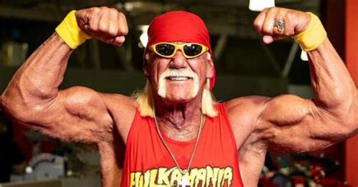 Hulk Hogan Net Worth - Pulptastic