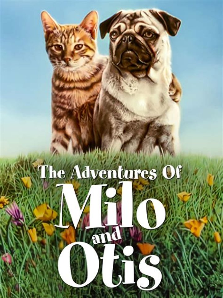 Milo And Otis's Death: Uncovering The Controversial Ending