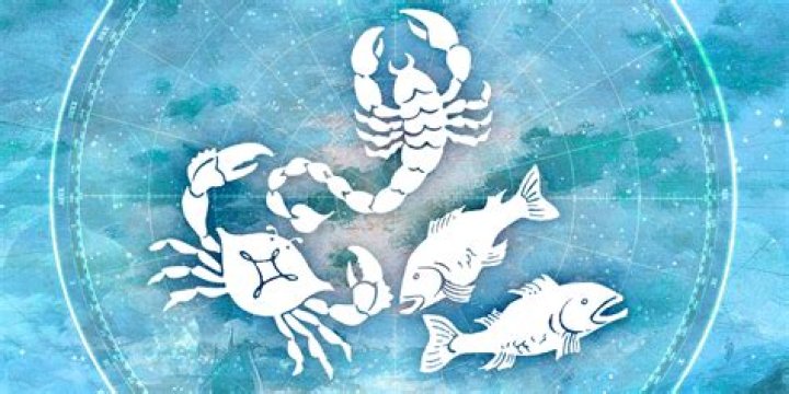 Pisces and Scorpio: The Mystical Bond of Water Signs