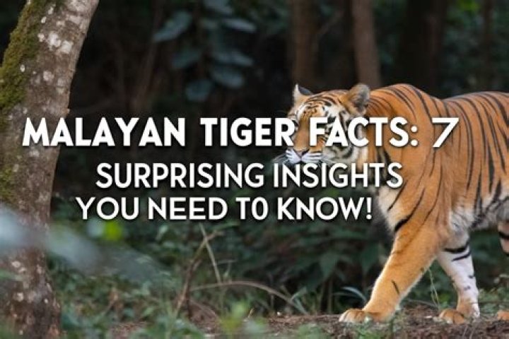 Surprising Facts And Intriguing Insights