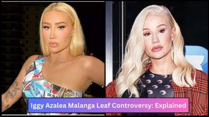 The Controversy Surrounding the Iggy Azalea Sex Tape: A Detailed Exploration