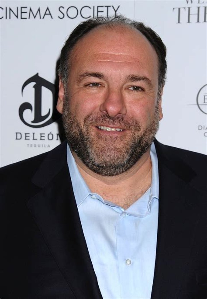 The Enduring Legacy of "The Sopranos" Actors: A Comprehensive Insight