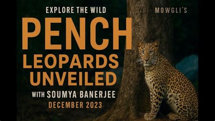 The Enigmatic World of Jack Leopards: Discovering the Legacy and Impact