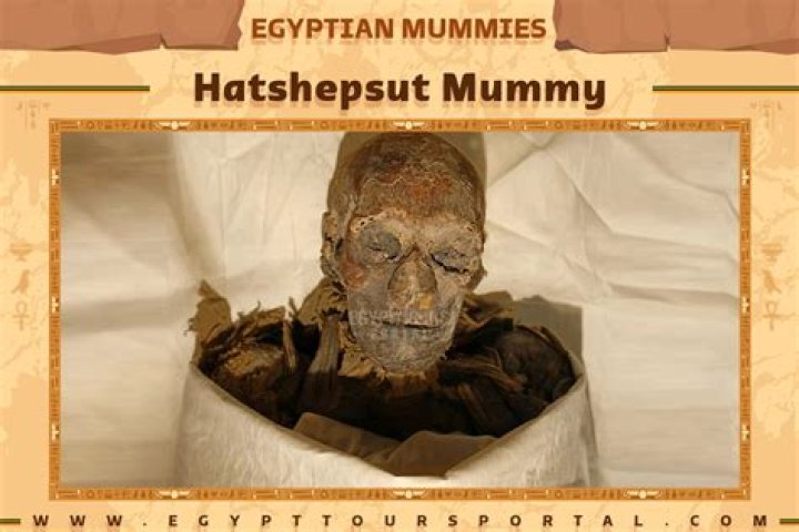 The Fascinating World of Mummy Casts: Unlocking the Secrets of the Past