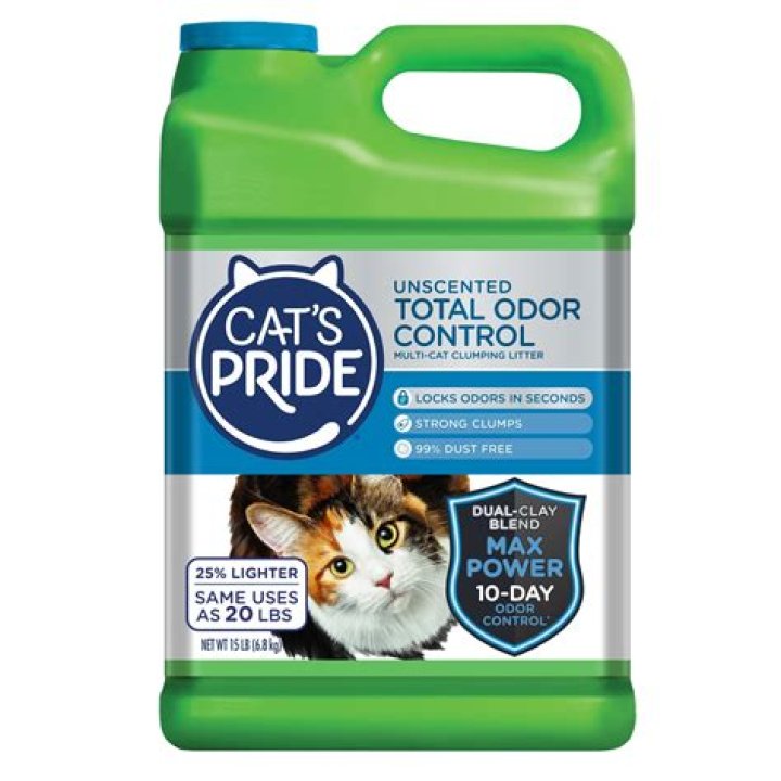 The Ultimate Guide to Choosing the Best Cat Litter for Odor Control