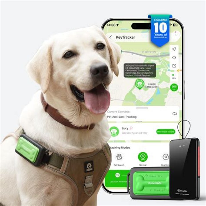 Understanding Dog GPS Trackers: A Comprehensive Guide
