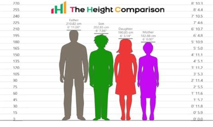 Understanding Steiny Height in Feet: A Comprehensive Guide
