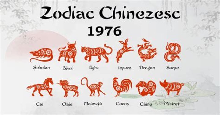 Understanding the 1976 Chinese Zodiac: Insights and Implications