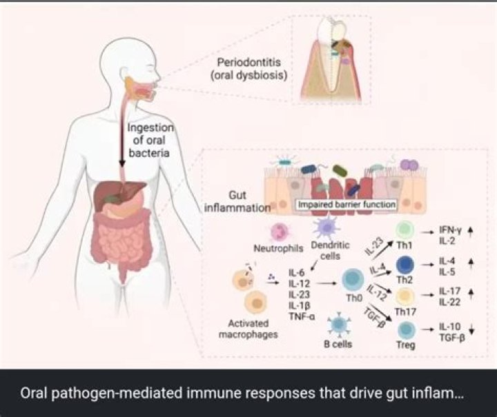 Unlocking The Secrets Of Rheumatoid Arthritis