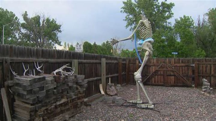 Unveiling the Fascination: The 12 Foot Skeleton Phenomenon