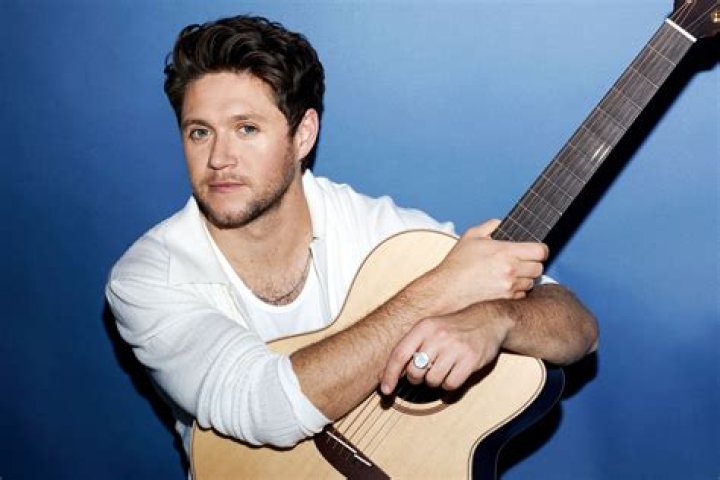 Unveiling The Roots Of Niall Horan: Discoveries And Insights