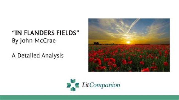 Where is Tanya Flanders Now? A Comprehensive Insight into Her Life and Career